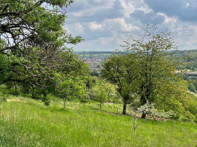 22-04-25 14-25-08 0645